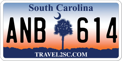 SC license plate ANB614