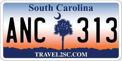 SC license plate ANC313
