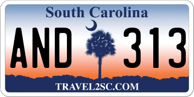 SC license plate AND313