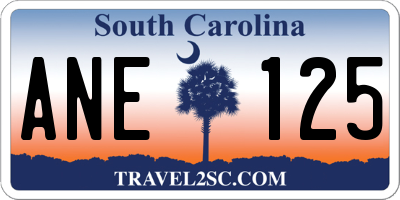 SC license plate ANE125