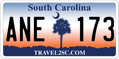 SC license plate ANE173