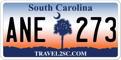 SC license plate ANE273