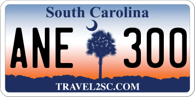 SC license plate ANE300