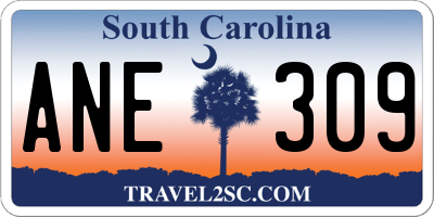 SC license plate ANE309