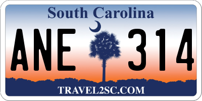 SC license plate ANE314