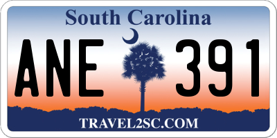 SC license plate ANE391