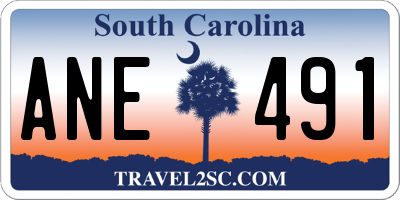 SC license plate ANE491