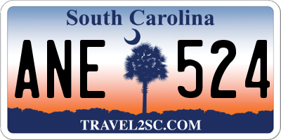 SC license plate ANE524