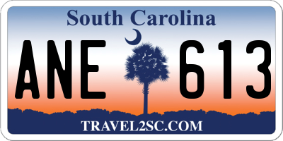 SC license plate ANE613