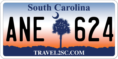 SC license plate ANE624