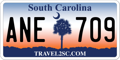 SC license plate ANE709