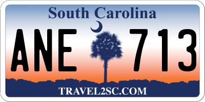 SC license plate ANE713
