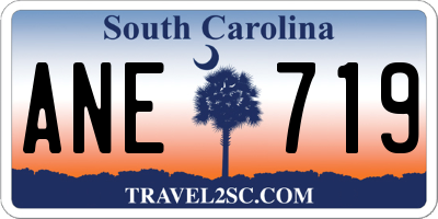 SC license plate ANE719