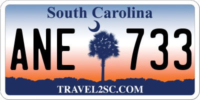 SC license plate ANE733