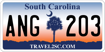 SC license plate ANG203