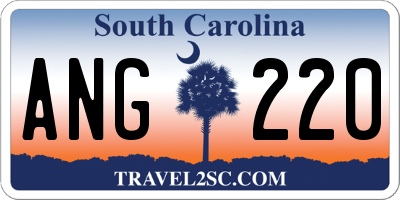 SC license plate ANG220