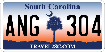 SC license plate ANG304