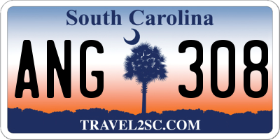 SC license plate ANG308
