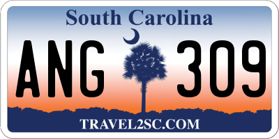 SC license plate ANG309
