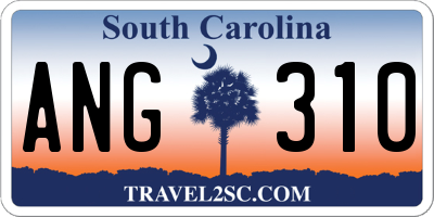 SC license plate ANG310