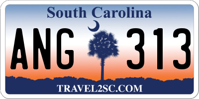 SC license plate ANG313