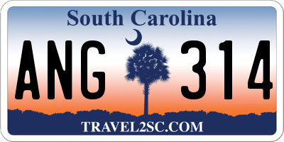 SC license plate ANG314