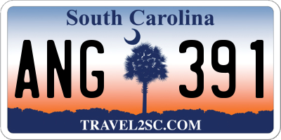 SC license plate ANG391