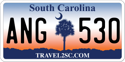 SC license plate ANG530