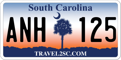 SC license plate ANH125
