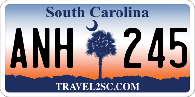 SC license plate ANH245