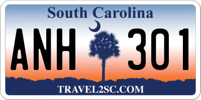 SC license plate ANH301