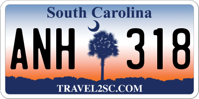 SC license plate ANH318