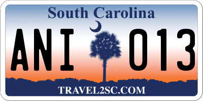 SC license plate ANI013