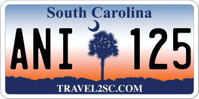 SC license plate ANI125