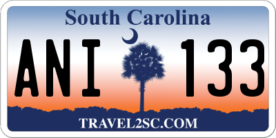 SC license plate ANI133