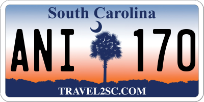 SC license plate ANI170