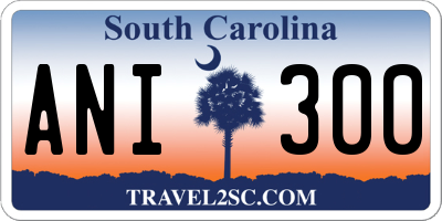 SC license plate ANI300