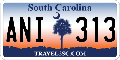 SC license plate ANI313