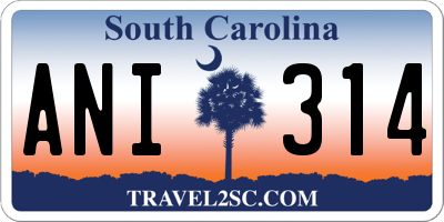 SC license plate ANI314