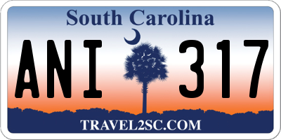 SC license plate ANI317