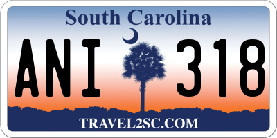 SC license plate ANI318