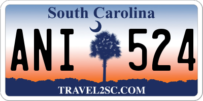 SC license plate ANI524