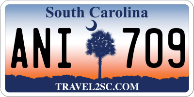 SC license plate ANI709