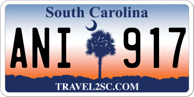 SC license plate ANI917