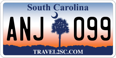 SC license plate ANJ099