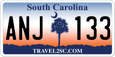 SC license plate ANJ133