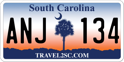 SC license plate ANJ134