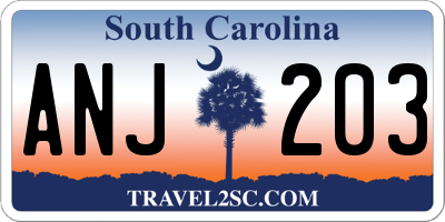 SC license plate ANJ203