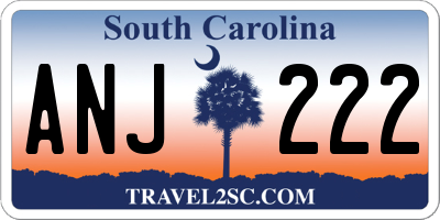 SC license plate ANJ222