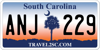 SC license plate ANJ229